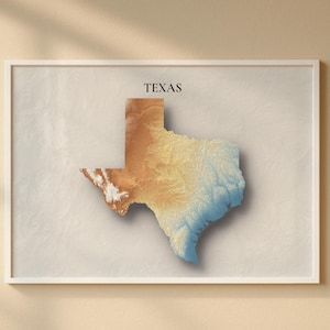 May include: A framed topographic map of Texas, showing the state's shape with a gradient of colours from brown to blue. The word "TEXAS" is printed at the top. The artwork is displayed on a beige wall.