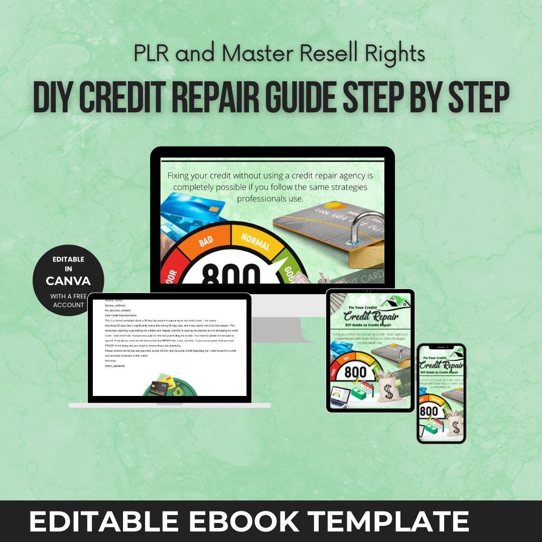 DIY Credit Repair Guide: Editable Canva Ebook Template (digital ...