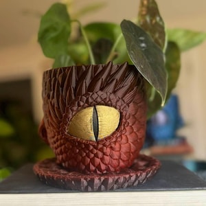 Crying Eye Planter - Red Shadow