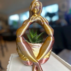 May include: A 3D-printed planter in the shape of a seated figure, with a gold and red-brown gradient finish. The figure's arms cradle a small succulent plant. The planter sits on a white tray, creating a decorative and artistic piece.