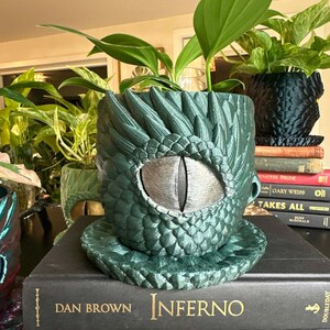 May include: A green dragon-themed planter with a matching saucer, holding a leafy green plant. The planter features a detailed eye design and textured scales. Other plants in decorative pots are visible in the background, along with stacked books.