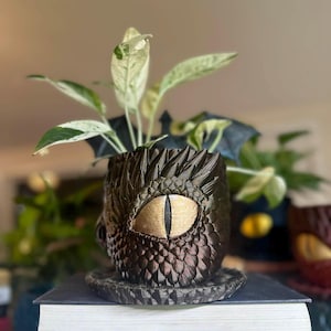 May include: A brown dragon-themed planter with a gold-colored eye, holding a green and white plant. The planter sits on a matching saucer. The design features scales and a textured finish, perfect for home decor.