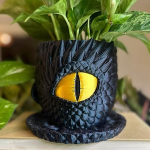 May include: Black dragon-eye-themed planter pot with a yellow iris. The pot is filled with a green leafy plant. The planter has a textured, scaled design and a matching saucer. A unique decorative item for plant lovers.