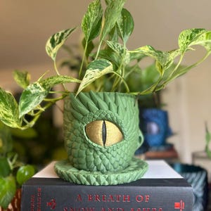 May include: A green dragon-themed planter with a golden eye, holding a leafy green plant. The planter sits on a saucer and is placed on top of two books. The books are titled "A Breath of Snow and Ashes" and "The Da Vinci Code."