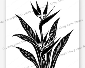 Paradiesvogel Blumen Design SVG | Digitaler Download