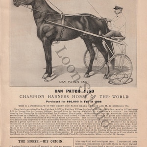 Dan Patch Horse Print, Vintage Harness Racing Advertisement, Champion Trotting Horse Poster, Antique Farm Wall Art, Equestrian Decor