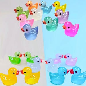 Glow In The Dark Luminous Mini Ducks