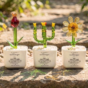 Può includere: Tre piante in vetro in vasi quadrati di ceramica bianca. Ogni vaso presenta la scritta 'It takes a village' sopra un'illustrazione di case. Le piante includono un tulipano rosso, un cactus verde con accenti gialli e una margherita gialla su ghiaia.