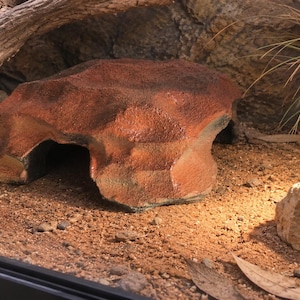May include: A reddish-brown, rock-shaped reptile hide with a textured, uneven surface and a hollow arched opening at the front, designed to provide a sheltered space for small animals within a terrarium environment.