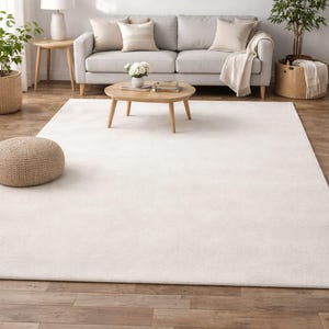 May include: A light-toned living room with a large, cream-coloured rug on a wooden floor. The room includes a grey sofa, wooden coffee table, and potted plants. A woven pouffe is in the foreground, and a framed picture hangs on the wall.