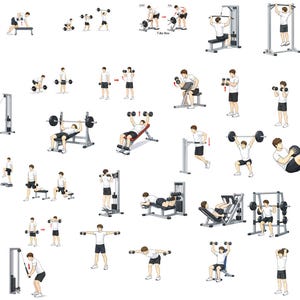 May include: A series of illustrations demonstrating different weightlifting and exercise routines. The images show individuals performing exercises with dumbbells, barbells, and weight machines. The illustrations are in a simple, clear style, suitable for instructional purposes.