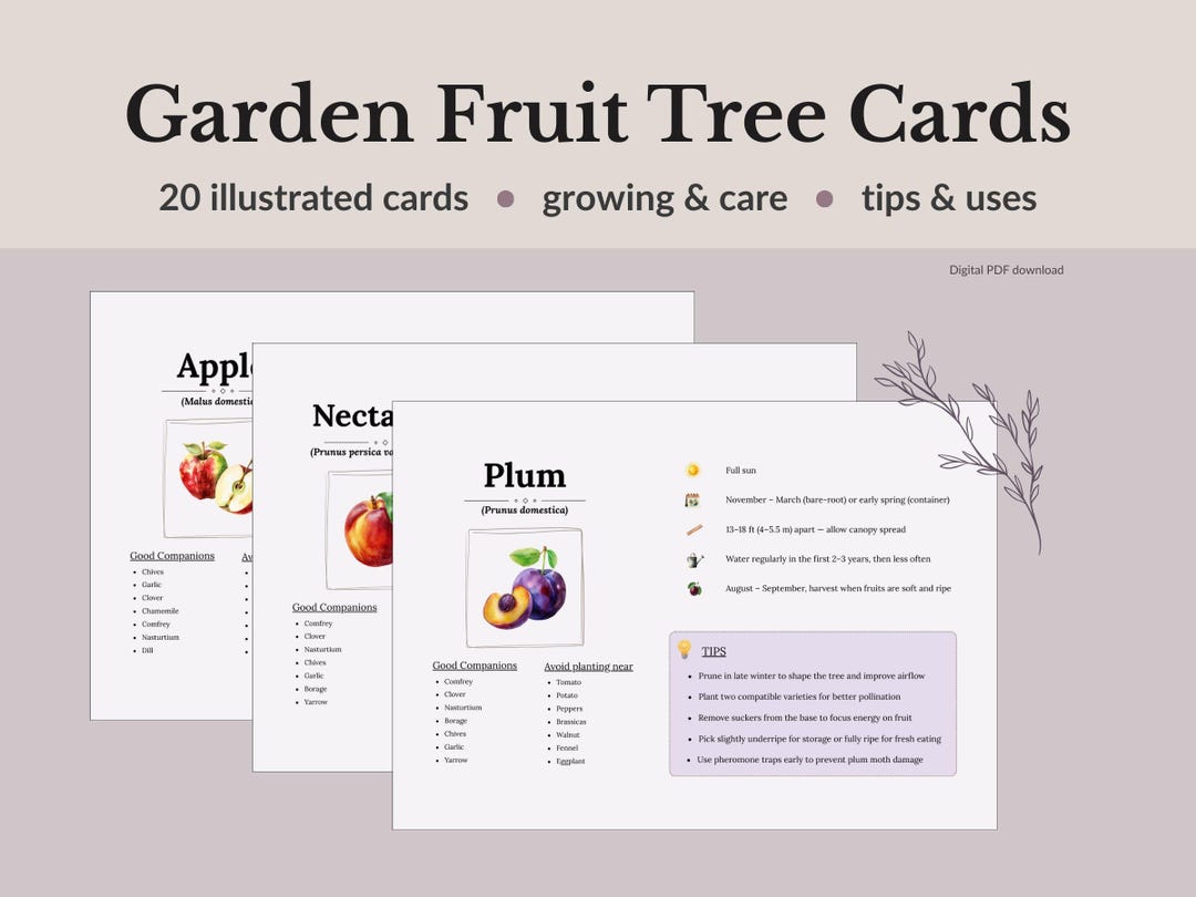 Tree Growing Card Printable Fruit Tree Cards | Garden Reference Cards | Companion ...