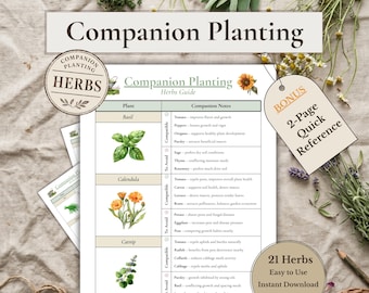 Pflanzanleitung für Kräuter (zum Ausdrucken), Übersicht über Gartenbegleiter, Referenz für Kräuterkombinationen, PDF für den Küchengarten