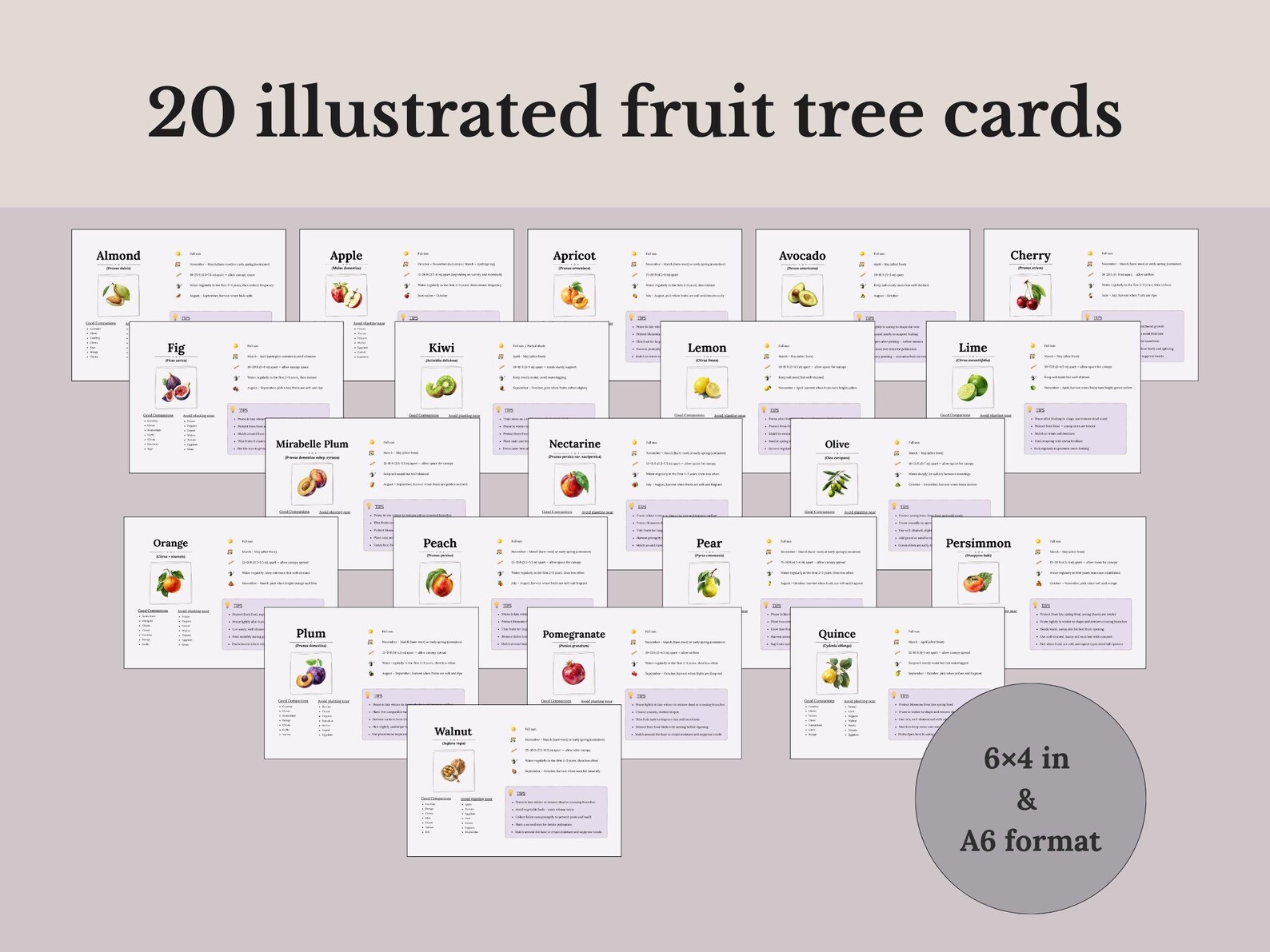Printable Fruit Tree Cards | Garden Reference Cards | Companion ...