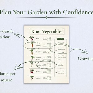 May include: A garden planning chart titled Root Vegetables featuring illustrations of beets, carrots, celeriac, daikon radish, parsnip, radish, and turnip. The chart includes columns for plants per square and growing tips with the text Plan Your Garden with Confidence.
