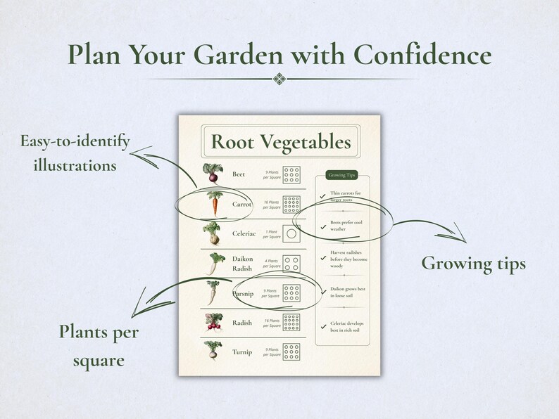 May include: A garden planning chart titled Root Vegetables featuring illustrations of beets, carrots, celeriac, daikon radish, parsnip, radish, and turnip. The chart includes columns for plants per square and growing tips with the text Plan Your Garden with Confidence.