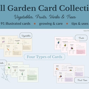 Puede incluir: Una colección de 91 tarjetas ilustradas titulada Full Garden Card Collection: Vegetables, Fruits, Herbs & Trees. Las tarjetas incluyen consejos de cultivo, cuidado y usos, con ilustraciones de ajo, pepino, zanahoria, arándano, grosella, uvas, eneldo, manzanilla, romero, manzana, nectarina y ciruela. Descarga digital en PDF.