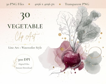 30 Aquarell Gemüse Clip Art PNGs, Line Art Garten Illustrationen (Digitaler Download)
