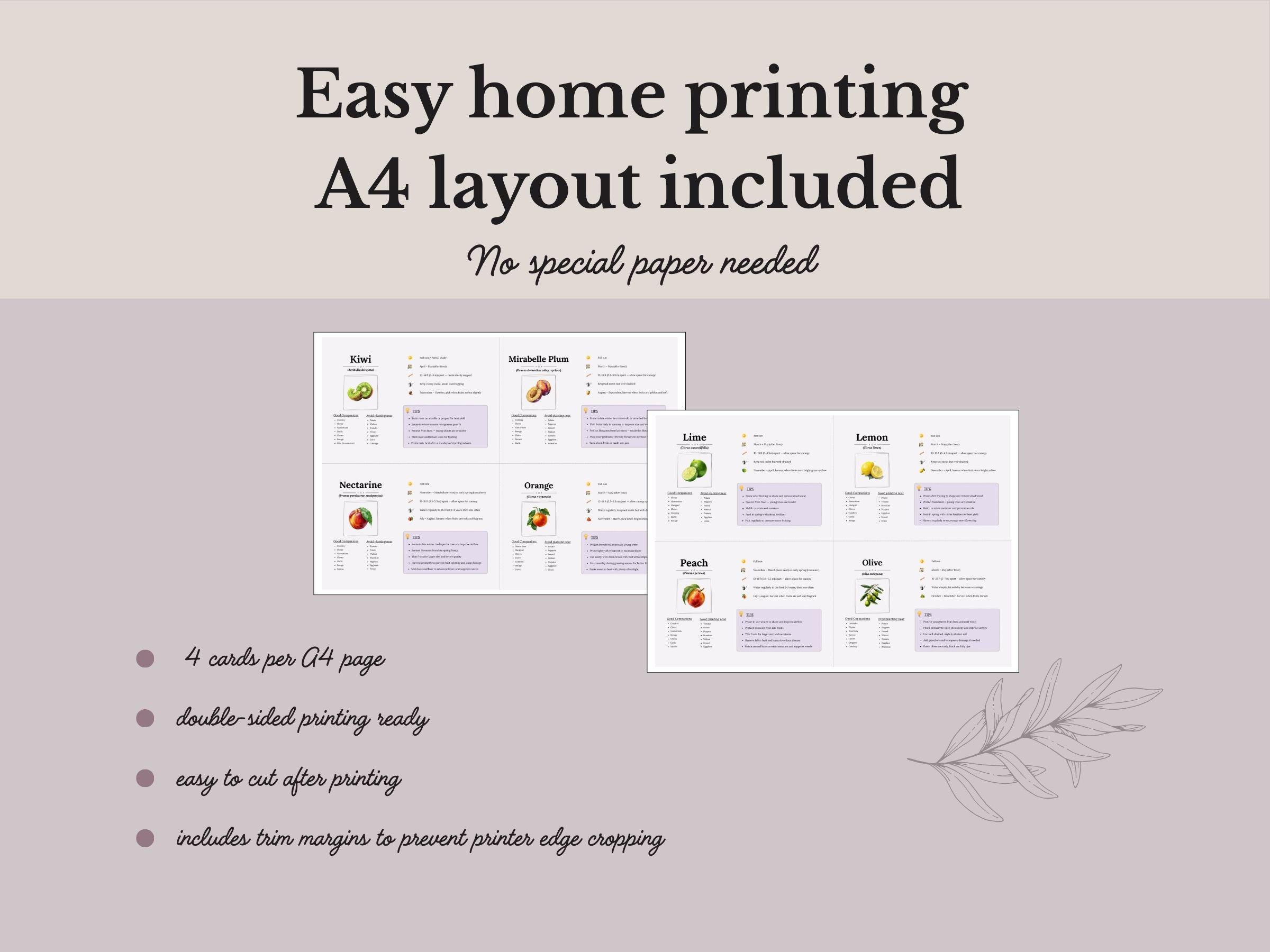Printable Fruit Tree Cards | Garden Reference Cards | Companion ...