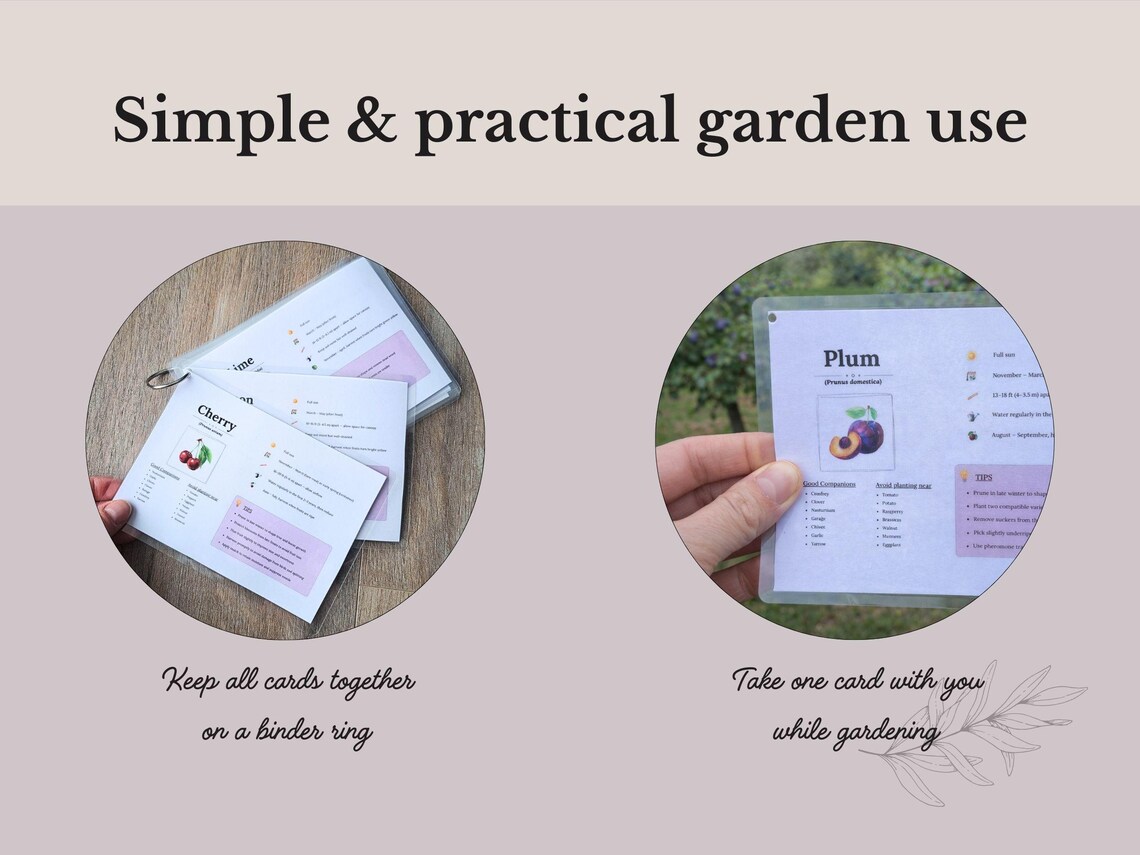 Printable Fruit Tree Cards | Garden Reference Cards | Companion ...