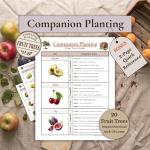 Fruit Tree Companion Planting Guide | Orchard Plant Pairing Reference | Printable A4 & US Letter PDF