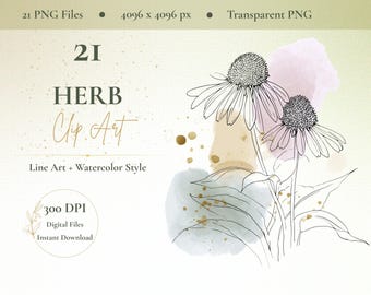 21 Kräuter Clip Art PNG Bundle, Botanische Line Art Aquarell Grafiken (Digitaler Download)
