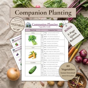 Vegetable Companion Planting Guide Printable | Vegetable Growing Reference | Kitchen Garden Guide PDF