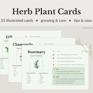 Karty z ziołami do druku | Karty referencyjne dotyczące uprawy i pielęgnacji ziół | Sadzenie i zastosowanie ziół | Pobierz plik PDF natychmiast