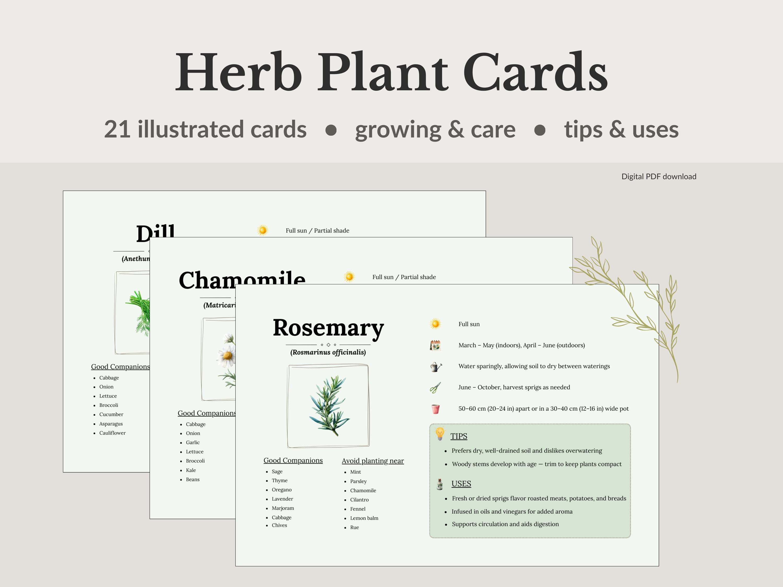 Illustrated Herb Cards | Growing, Care, Reference, Companion Planting ...