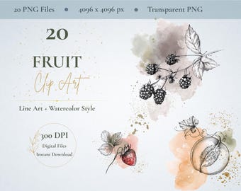 20 botanische Frucht-Cliparts (PNG), Beerenillustrationen, Vintage-Linienzeichnungen, Elemente für Gartentagebücher, transparentes PNG
