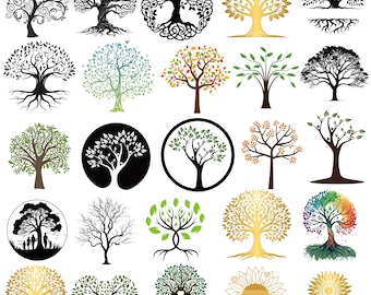 Stammbaum PNG Bündel, Baum des Lebens, Wurzeln: (Digitaler Download)