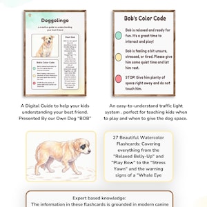 Op de afbeelding: Educatief materiaal voor hondentraining. De afbeelding toont een gids met de tekst "Doggolingo", een kleurencodetabel en aquarel flashcards. De gids helpt kinderen het gedrag van honden te begrijpen. Bevat 27 kaarten.