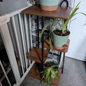 May include: A three-tiered plant stand with wooden shelves and black metal supports. The stand holds three potted plants in light green pots. The shelves are a dark brown colour. The stand is approximately 75 cm tall.
