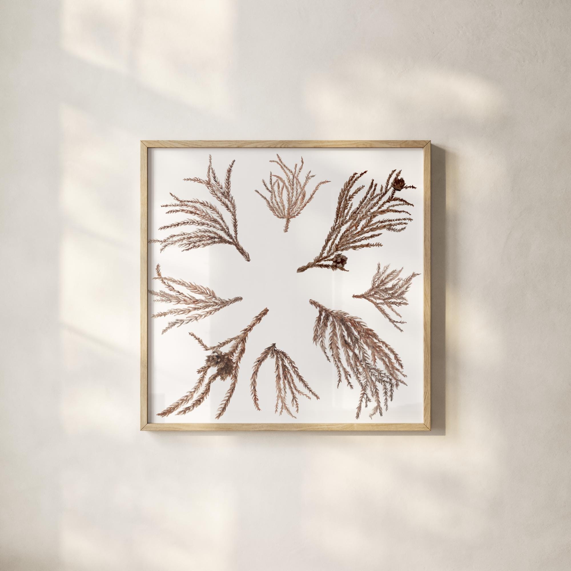 Zeder zweige - Etsy.de