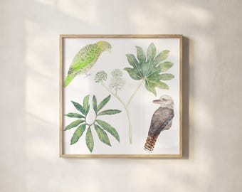 Giglio cobra, aralia giapponese, kookaburra ridenti, lorichetto pettosquamato, acquerello – composizione quadrata (download digitale)