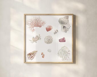Conchiglie, granchio, coralli, stampa ad acquerello, arte botanica quadrata (download digitale)
