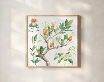 Piante tintorie Acquerello – Composizione quadrata (Download digitale)