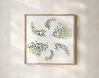 Cipresso giapponese, Hinoki Acquerello – Composizione quadrata (Download digitale)