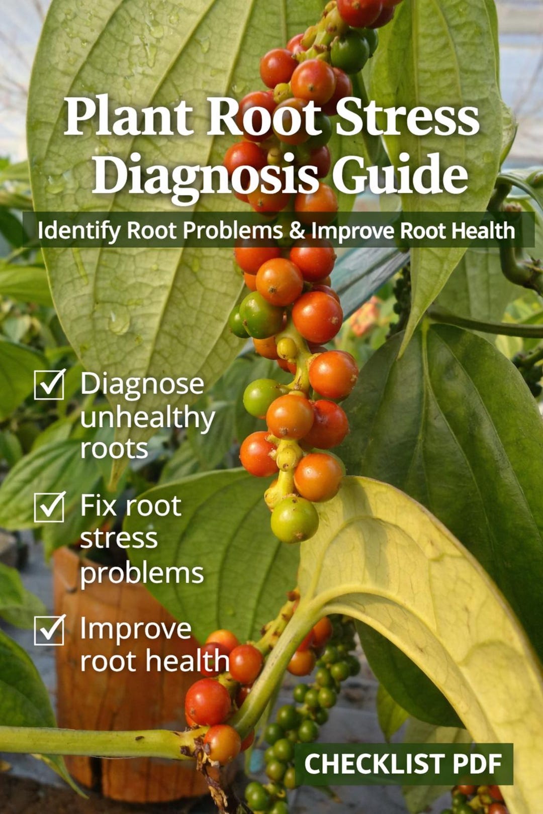 Plant Root Stress Diagnosis Guide | Identify Root Problems & Improve ...