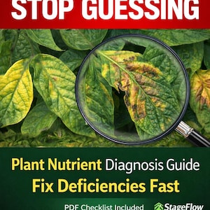 May include: A white ceramic mug with a black handle and the text "But First, Coffee" in a bold, black font. The mug is sitting on a wooden surface. The mug is approximately 4 inches tall.