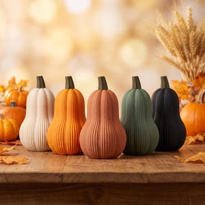 Op de afbeelding: Een set van vijf verticale, geribbelde, peervormige decoratieve pompoenen in crème, oranje, terracotta, saliegroen en zwart. Elke pompoen heeft een donkerbruine steel en een textuur met ribbels, opgesteld in een rij op een houten ondergrond.