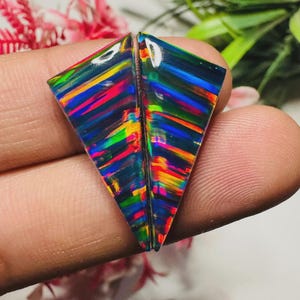 Puede incluir: Dos ópalos negros de forma triangular que presentan un vibrante juego de colores con bandas horizontales de rojo neón, azul eléctrico, verde brillante y amarillo. Las gemas tienen una superficie pulida y reflectante.
