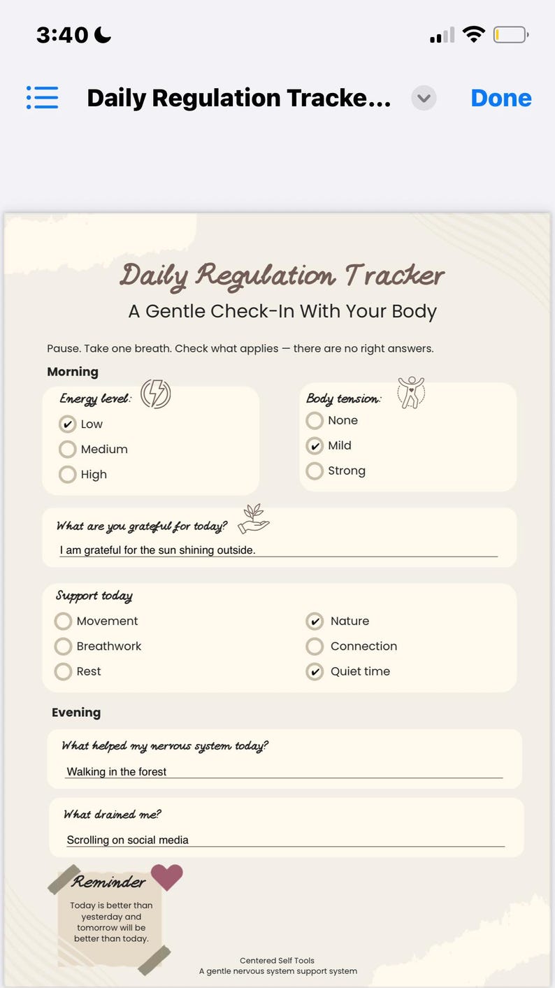 Nervous System Regulation Toolkit | Anxiety, Burnout & Stress Support ...