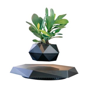 May include: A modern, levitating planter with a geometric black pot holding a green plant. The pot hovers above a matching black base. The plant has large, green leaves. The design is minimalist and contemporary, suitable for home decor.