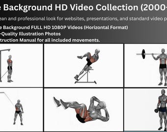 Gym Fitness Animation MP4 Video Bundle (HD)