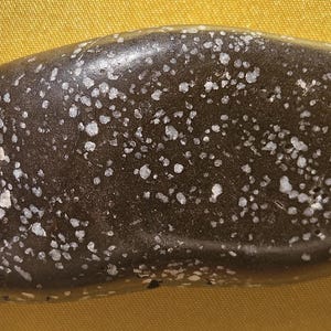 May include: A smooth, dark brown, oval-shaped stone featuring a natural speckled pattern of small, irregular white spots distributed across its surface. The stone has a polished appearance with a slightly curved, elongated form and a solid texture.