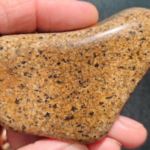 Puede incluir: Una piedra pulida y lisa con aspecto moteado que presenta una base de color marrón dorado cálido intercalada con pequeñas motas negras y grises oscuras en toda su forma irregular, redondeada y aplanada, sostenida en una palma.