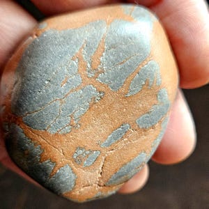 Peut inclure: Une pierre arrondie et lisse avec un motif naturel. La pierre présente un mélange de couleurs grises et brunes, le gris formant un motif en forme de feuille sur la surface brune. La pierre est tenue dans une main, mettant en valeur sa taille et sa texture.