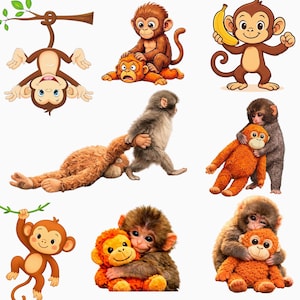 Puede incluir: Ilustraciones de monos de dibujos animados en varias poses. Algunos monos sostienen plátanos, otros abrazan peluches o cuelgan de ramas. Los monos son marrones, naranjas y grises, con expresiones amigables.