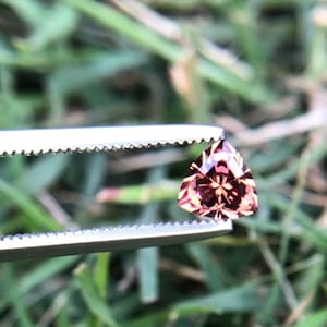 May include: A triangular gemstone, held by tweezers, against a background of green grass. The gem is a reddish-brown colour with internal patterns. The tweezers are silver.